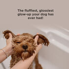 BioSilk For Dogs Detangling Shampoo, , large image number null